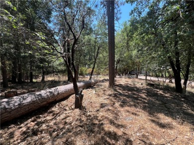 Easy slope lot amidst the tall trees of Cobb Mt. Quiet on Rob Roy Golf Club in California - for sale on GolfHomes.com, golf home, golf lot