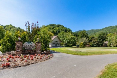 Classic in the Smoky Mountain Country Club!  This gated golf on Smoky Mountain Country Club in North Carolina - for sale on GolfHomes.com, golf home, golf lot