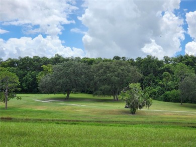 Welcome to the beautiful rolling hills of Zellwood Station. A on Zellwood Station Country Club in Florida - for sale on GolfHomes.com, golf home, golf lot