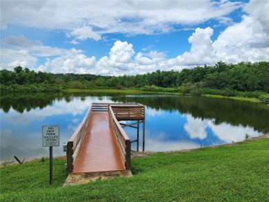 Welcome to the beautiful rolling hills of Zellwood Station. A on Zellwood Station Country Club in Florida - for sale on GolfHomes.com, golf home, golf lot
