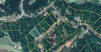 Nestled within the exclusive Currahee Club community, this on Currahee Golf Club in Georgia - for sale on GolfHomes.com, golf home, golf lot