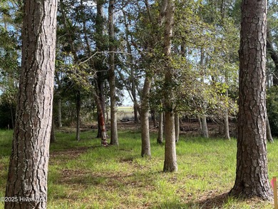 LOOK! This is a Rare Find! A Marsh front homesite in an amenity on Lockwood Folly Country Club in North Carolina - for sale on GolfHomes.com, golf home, golf lot
