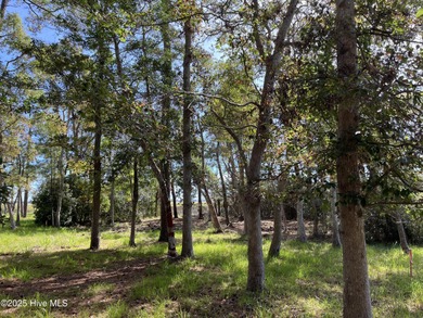 LOOK! This is a Rare Find! A Marsh front homesite in an amenity on Lockwood Folly Country Club in North Carolina - for sale on GolfHomes.com, golf home, golf lot