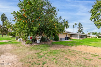 Enjoy easy living in this charming 2-bedroom Gemini home with a on Sun City Country Club in Arizona - for sale on GolfHomes.com, golf home, golf lot