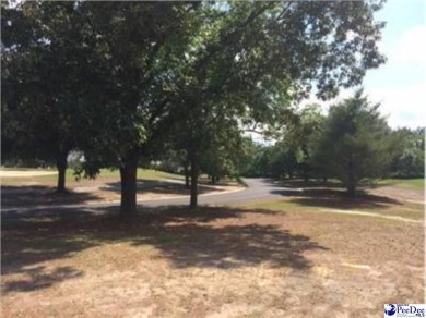 Beautiful, large lot with the most amazing view of the 11th on Country Club of South Carolina in South Carolina - for sale on GolfHomes.com, golf home, golf lot