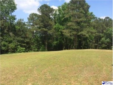 Beautiful, large lot with the most amazing view of the 11th on Country Club of South Carolina in South Carolina - for sale on GolfHomes.com, golf home, golf lot