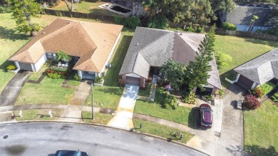 Are you dreaming of becoming a Snowbird or are you looking for a on Highland Lakes Executive Golf Course in Florida - for sale on GolfHomes.com, golf home, golf lot