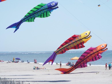 LOOK! This is a Rare Find! A Marsh front homesite in an amenity on Lockwood Folly Country Club in North Carolina - for sale on GolfHomes.com, golf home, golf lot
