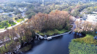 NO PET RESTRICTIONS AND LOW HOA FEES!! Are you dreaming of on Highland Lakes Executive Golf Course in Florida - for sale on GolfHomes.com, golf home, golf lot