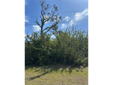Don't miss this incredible opportunity to own a .18-acre lot in on Rotonda Golf and Country Club - Long Marsh  in Florida - for sale on GolfHomes.com, golf home, golf lot