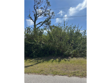 Don't miss this incredible opportunity to own a .18-acre lot in on Rotonda Golf and Country Club - Long Marsh  in Florida - for sale on GolfHomes.com, golf home, golf lot