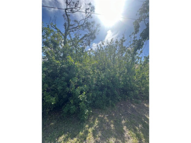Don't miss this incredible opportunity to own a .18-acre lot in on Rotonda Golf and Country Club - Long Marsh  in Florida - for sale on GolfHomes.com, golf home, golf lot