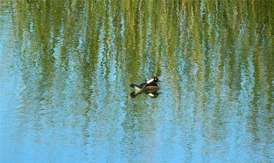 AN INSPIRED RE-DESIGN OF A BEAUTIFULLY UPDATED GOLF COTTAGE at on Oak Harbor Country Club in Florida - for sale on GolfHomes.com, golf home, golf lot