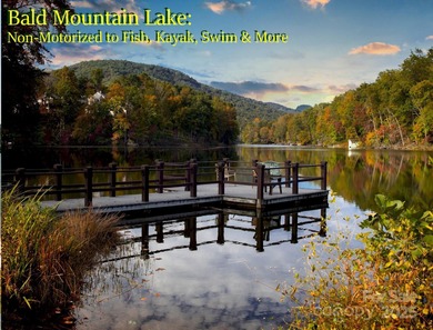 Discover a rare opportunity to craft your luxury lake retreat in on Rumbling Bald Resort on Lake Lure in North Carolina - for sale on GolfHomes.com, golf home, golf lot