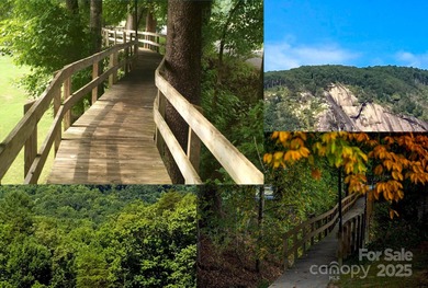 Discover a rare opportunity to craft your luxury lake retreat in on Rumbling Bald Resort on Lake Lure in North Carolina - for sale on GolfHomes.com, golf home, golf lot