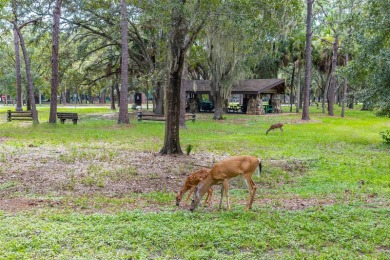 *Seller offering up to $18,000 of flex cash towards Buyers on Tarpon Woods Golf Club in Florida - for sale on GolfHomes.com, golf home, golf lot