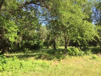 Trees, Trees and more Trees. Beautiful lot backing to a nature on The Retreat in Texas - for sale on GolfHomes.com, golf home, golf lot