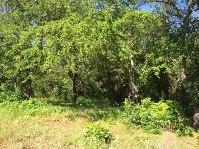 Trees, Trees and more Trees. Beautiful lot backing to a nature on The Retreat in Texas - for sale on GolfHomes.com, golf home, golf lot