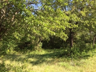 Trees, Trees and more Trees. Beautiful lot backing to a nature on The Retreat in Texas - for sale on GolfHomes.com, golf home, golf lot