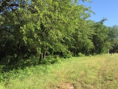 Trees, Trees and more Trees. Beautiful lot backing to a nature on The Retreat in Texas - for sale on GolfHomes.com, golf home, golf lot