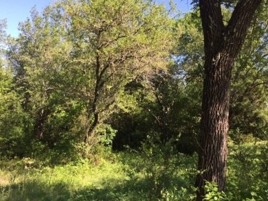 Trees, Trees and more Trees. Beautiful lot backing to a nature on The Retreat in Texas - for sale on GolfHomes.com, golf home, golf lot