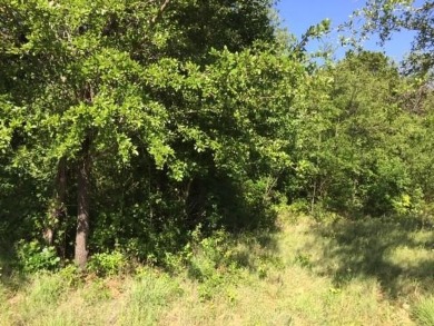 Trees, Trees and more Trees. Beautiful lot backing to a nature on The Retreat in Texas - for sale on GolfHomes.com, golf home, golf lot