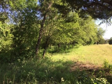 Trees, Trees and more Trees. Beautiful lot backing to a nature on The Retreat in Texas - for sale on GolfHomes.com, golf home, golf lot