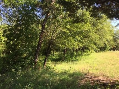 Trees, Trees and more Trees. Beautiful lot backing to a nature on The Retreat in Texas - for sale on GolfHomes.com, golf home, golf lot