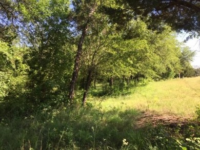 Trees, Trees and more Trees. Beautiful lot backing to a nature on The Retreat in Texas - for sale on GolfHomes.com, golf home, golf lot