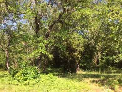 Trees, Trees and more Trees. Beautiful lot backing to a nature on The Retreat in Texas - for sale on GolfHomes.com, golf home, golf lot