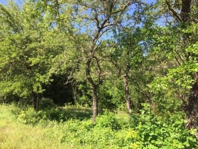 Trees, Trees and more Trees. Beautiful lot backing to a nature on The Retreat in Texas - for sale on GolfHomes.com, golf home, golf lot