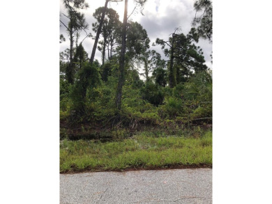 DOUBLE LOT IN GREAT LOCATION. This lot is located on a quiet on Duffys Golf Center in Florida - for sale on GolfHomes.com, golf home, golf lot