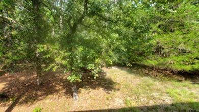 Escape to the country in scenic and relaxing Holly Lake Ranch on Holly Lake Ranch Golf Club in Texas - for sale on GolfHomes.com, golf home, golf lot