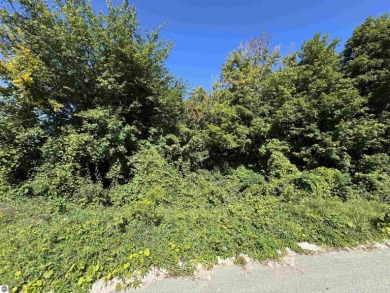 Discover your ideal canvas for luxurious living with this on Lochen Heath Golf Course in Michigan - for sale on GolfHomes.com, golf home, golf lot