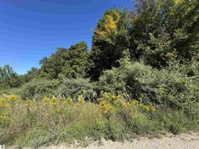 Discover your ideal canvas for luxurious living with this on Lochen Heath Golf Course in Michigan - for sale on GolfHomes.com, golf home, golf lot
