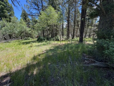 This beautiful, level lot on the front corner of a cul-de-sac is on Angel Fire Resort Country Club in New Mexico - for sale on GolfHomes.com, golf home, golf lot