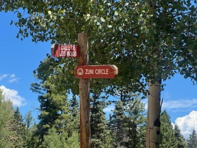 This beautiful, level lot on the front corner of a cul-de-sac is on Angel Fire Resort Country Club in New Mexico - for sale on GolfHomes.com, golf home, golf lot