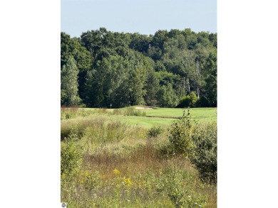 Discover your ideal canvas for luxurious living with this on Lochen Heath Golf Course in Michigan - for sale on GolfHomes.com, golf home, golf lot