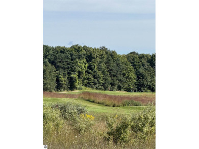 Discover your ideal canvas for luxurious living with this on Lochen Heath Golf Course in Michigan - for sale on GolfHomes.com, golf home, golf lot