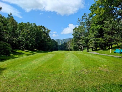 **AUCTION** List price is tax assessment value only. Selling on Mountain Greens Golf Course in Virginia - for sale on GolfHomes.com, golf home, golf lot