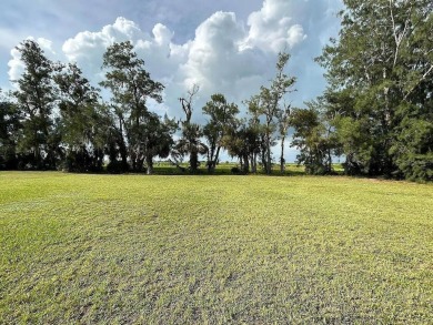 4/3 House on a .75 acre lot, a Large Private Backyard, In-Unit on Spring Lake Golf Resort in Florida - for sale on GolfHomes.com, golf home, golf lot
