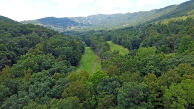 **AUCTION** List price is tax assessment value only. Selling on Mountain Greens Golf Course in Virginia - for sale on GolfHomes.com, golf home, golf lot