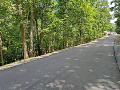 **AUCTION** List price is tax assessment value only. Selling on Mountain Greens Golf Course in Virginia - for sale on GolfHomes.com, golf home, golf lot