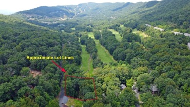 **AUCTION** List price is tax assessment value only. Selling on Mountain Greens Golf Course in Virginia - for sale on GolfHomes.com, golf home, golf lot