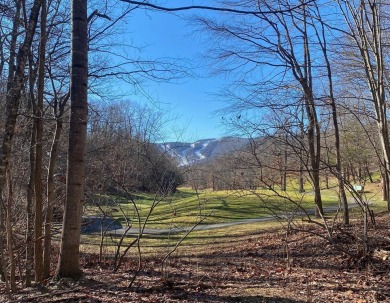 **AUCTION** List price is tax assessment value only. Selling on Mountain Greens Golf Course in Virginia - for sale on GolfHomes.com, golf home, golf lot