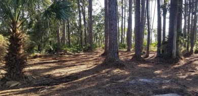 Nice wooded Waterfront Lot overlooking Dog Island. St. James Bay on St. James Bay in Florida - for sale on GolfHomes.com, golf home, golf lot