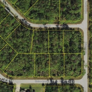 Located in Port Charlotte near the border of North Port and on Sabal Trace Golf and Country Club in Florida - for sale on GolfHomes.com, golf home, golf lot