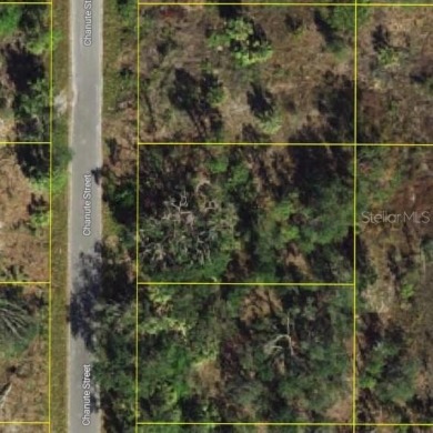 SINGLE LOT LOCATED CLOSE TO BEACHES, GOLF, RECREATION AND on Riverwood Golf Club in Florida - for sale on GolfHomes.com, golf home, golf lot