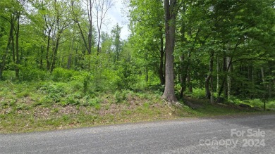 Tucked away in the beautiful North Cove area of the Blue Ridge on Linville Falls Golf Club in North Carolina - for sale on GolfHomes.com, golf home, golf lot