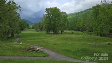 Tucked away in the beautiful North Cove area of the Blue Ridge on Linville Falls Golf Club in North Carolina - for sale on GolfHomes.com, golf home, golf lot